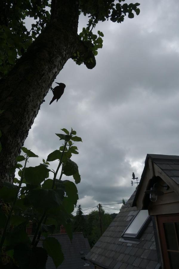 The Roost Lägenhet Semley Exteriör bild